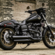 Illustration for article titled Harley-Davidsons Two New Motorcycles Are Actually Awesome